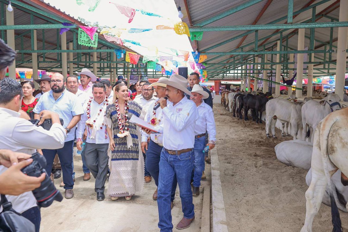 EvelynSalgadoP's tweet photo. Inauguramos la edición número 52 de la Expo Feria Ometepec 2026, en mi querida Costa Chica.

Hemos trabajado en territorio, con grandes resultados:
💰+227 mdp de inversión pública
📊 179 mdp en obras
👷‍♂️ Unidad para jornaleros agrícolas
🛣️ Ampliación de carretera Ometepec–San Juan de los Llanos
🏥 Centro de salud
🎓 Clínica de escuela de enfermería
💧 48 mdp programados para 2026

A sus habitantes les reitero mi compromiso firme de seguir trabajando sin descanso para que este municipio siga avanzando. 🤝 ¡L@s quiero mucho! 🫶