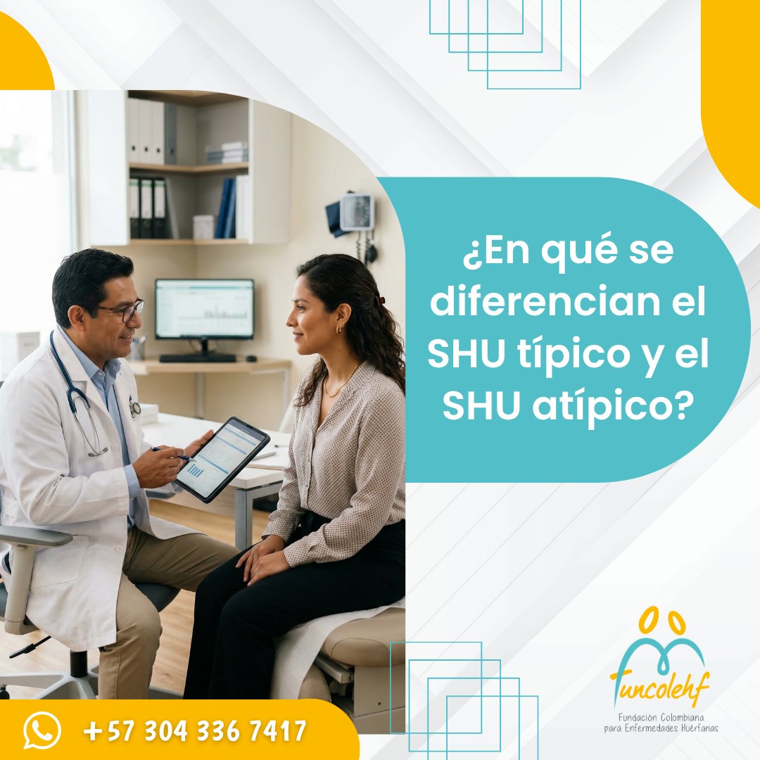 Funcolehf tweet media