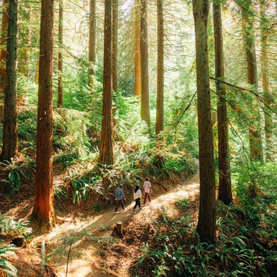 Governor Tina Kotek tweet media