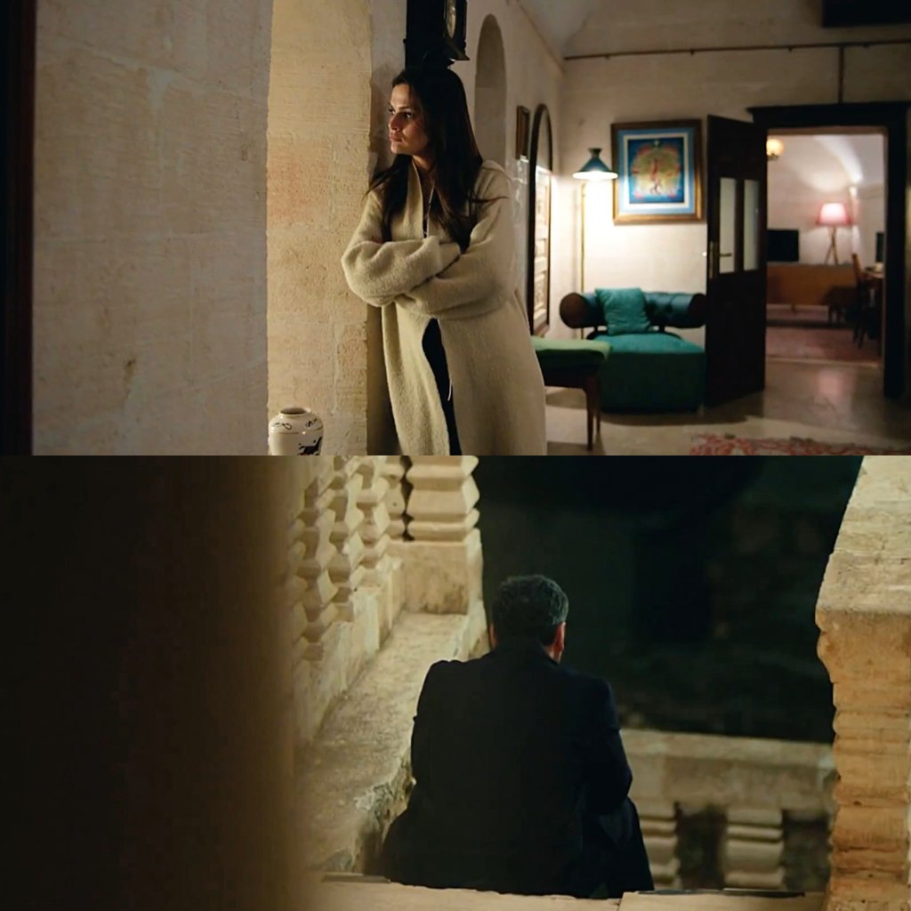 d.✨️ tweet media