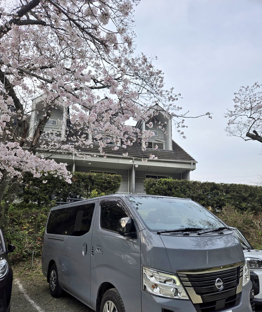 anap_plus's tweet photo. 日曜日に法多山に厄除けだんご(さくらだんごは当然ありませんでした…)食べつつ花見をしてきましたが、この雨で相当散ってしまったかな～？🤕　#キャラバン #NV350 https://t.co/ybMt3zD2kB