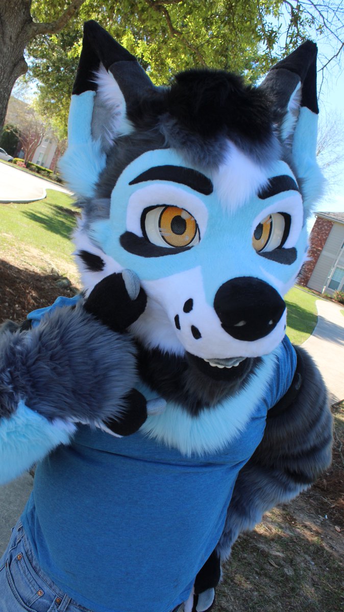 FireWolfStudio's tweet photo. Going to LVFC this weekend!? We are too!

This cute Shep will be looking for a home!!
Stop by our table at Q06 in the Dealers Den to check them out in person, and to view our other stuff!!
#LVFC2026 #DealersDen

Design by @Sockune ! https://t.co/H2v2KSqjDD