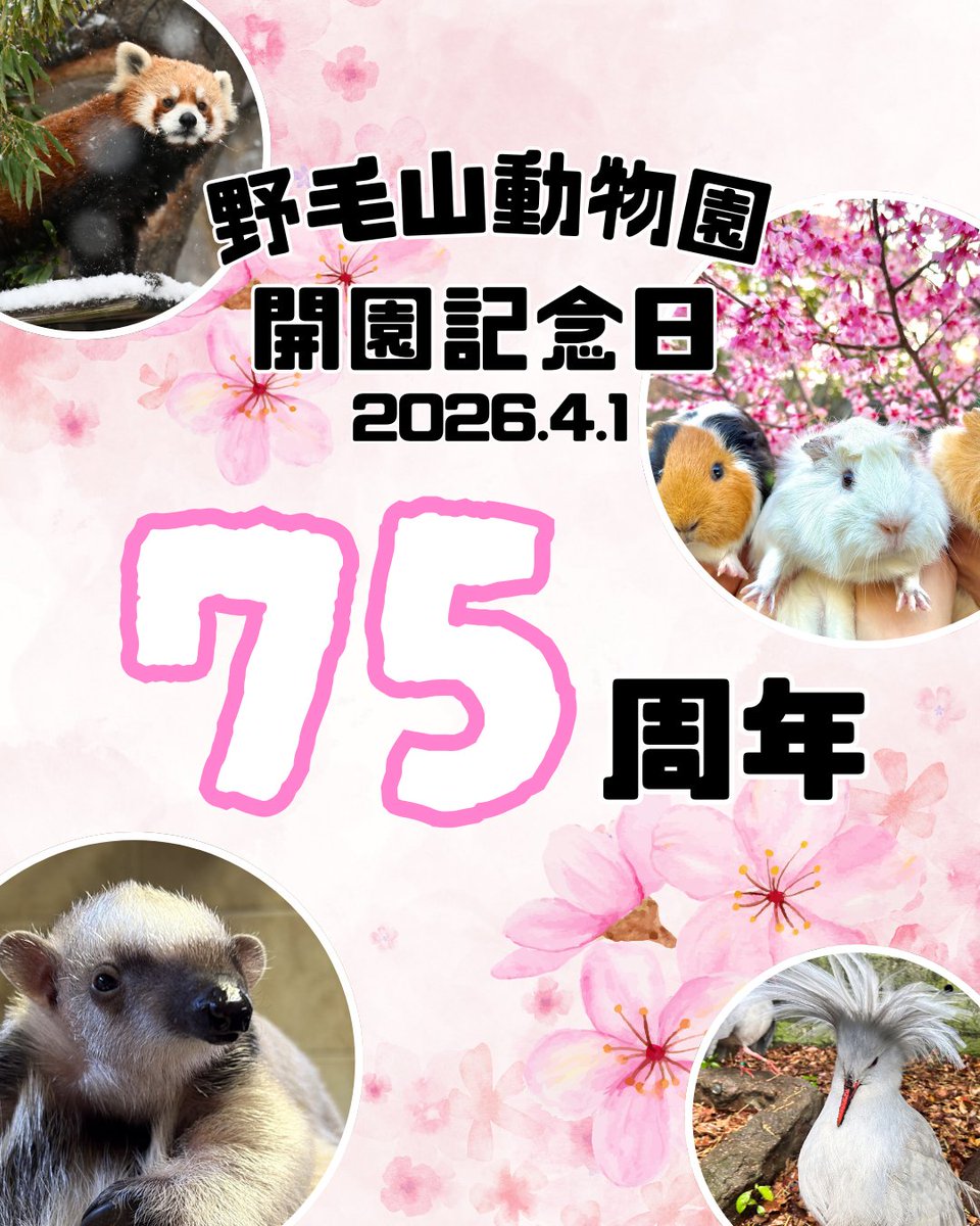 横浜市立野毛山動物園≪公式≫ tweet media