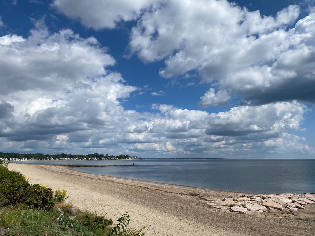 Nina Tomlinson tweet media