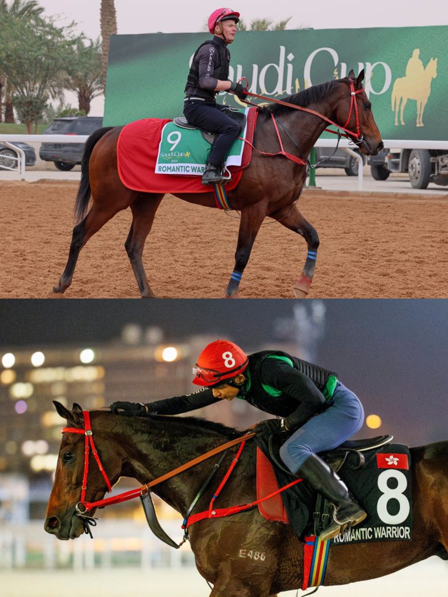 StrideFree® Racing tweet media