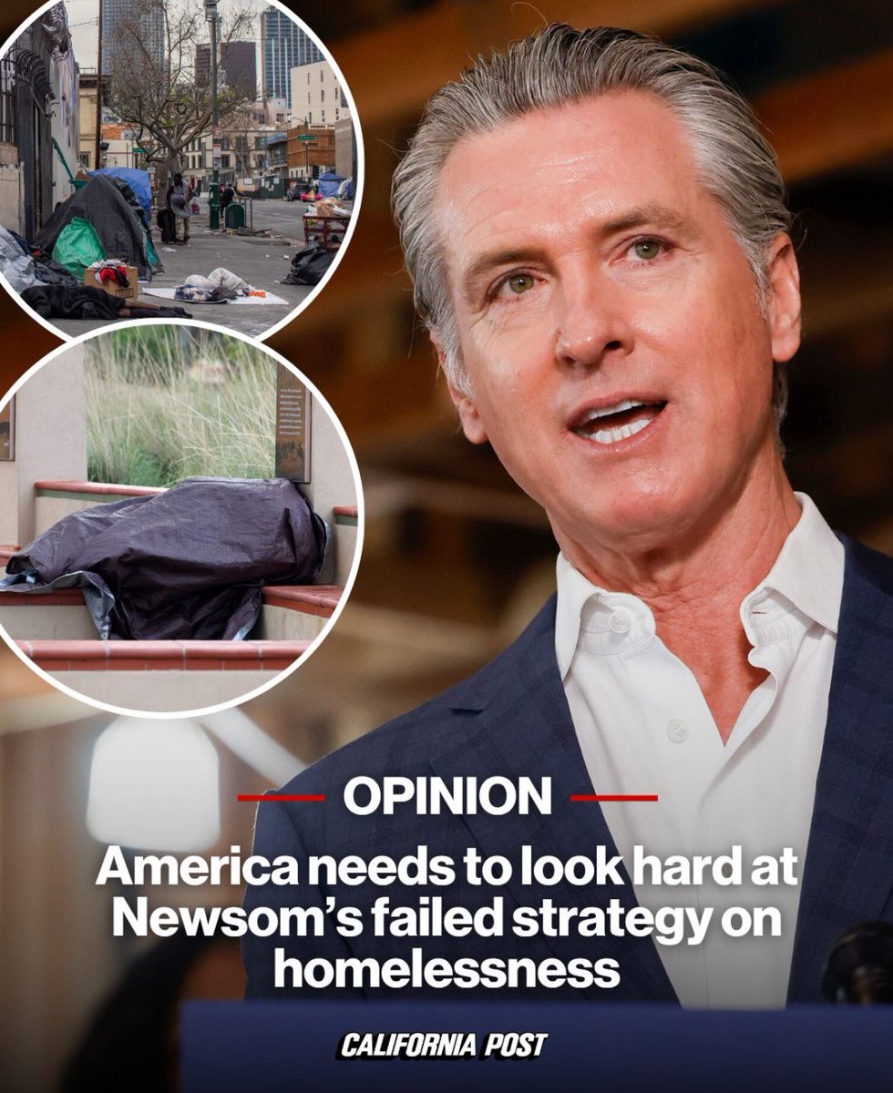 Sarah Sizzle tweet media