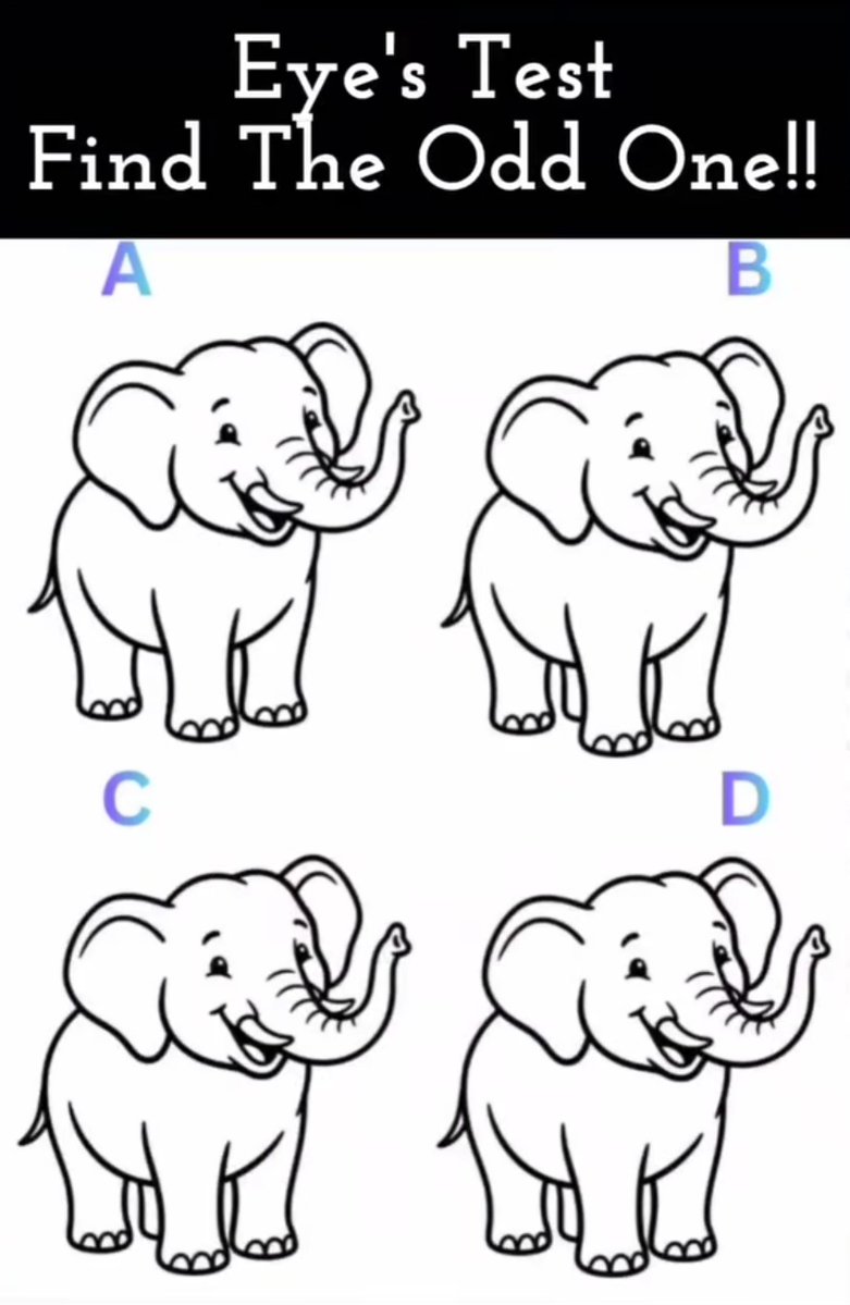 xylomyst✨ tweet media