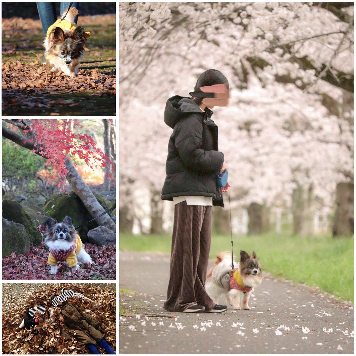 さっちん🐒 tweet media