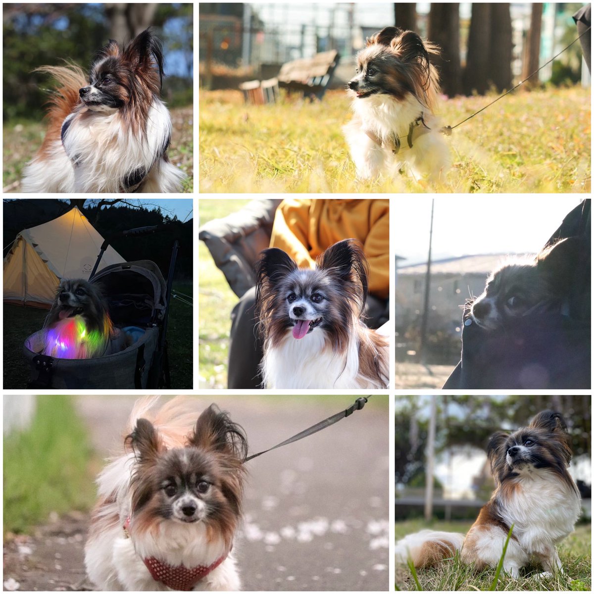 さっちん🐒 tweet media