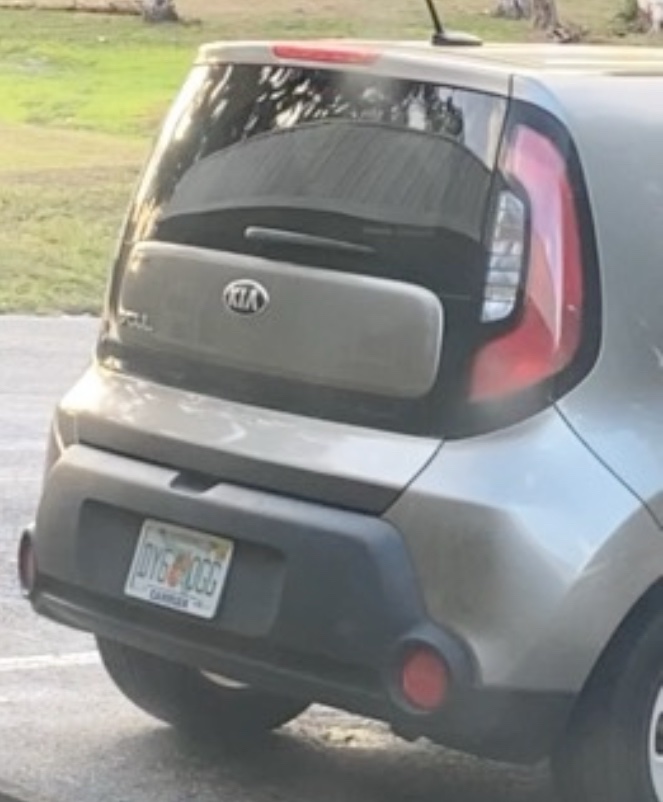 RockDJ79's tweet image. Anyone wanna play match Infragard plates in #Florida? I got tons! My neighbor hasn’t stopped taking weekend “trips” since getting her Infragard car! #WheresWaldo there’s a few if you look not hard 🤡 #GatorStrong #TheEpsteinFiles #Rihana 👋🏼