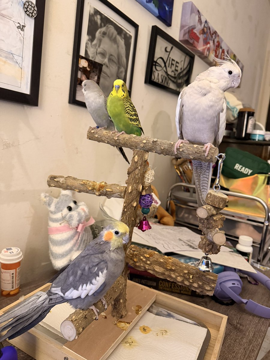 elyciaxx🗝️🏨😈 tweet media