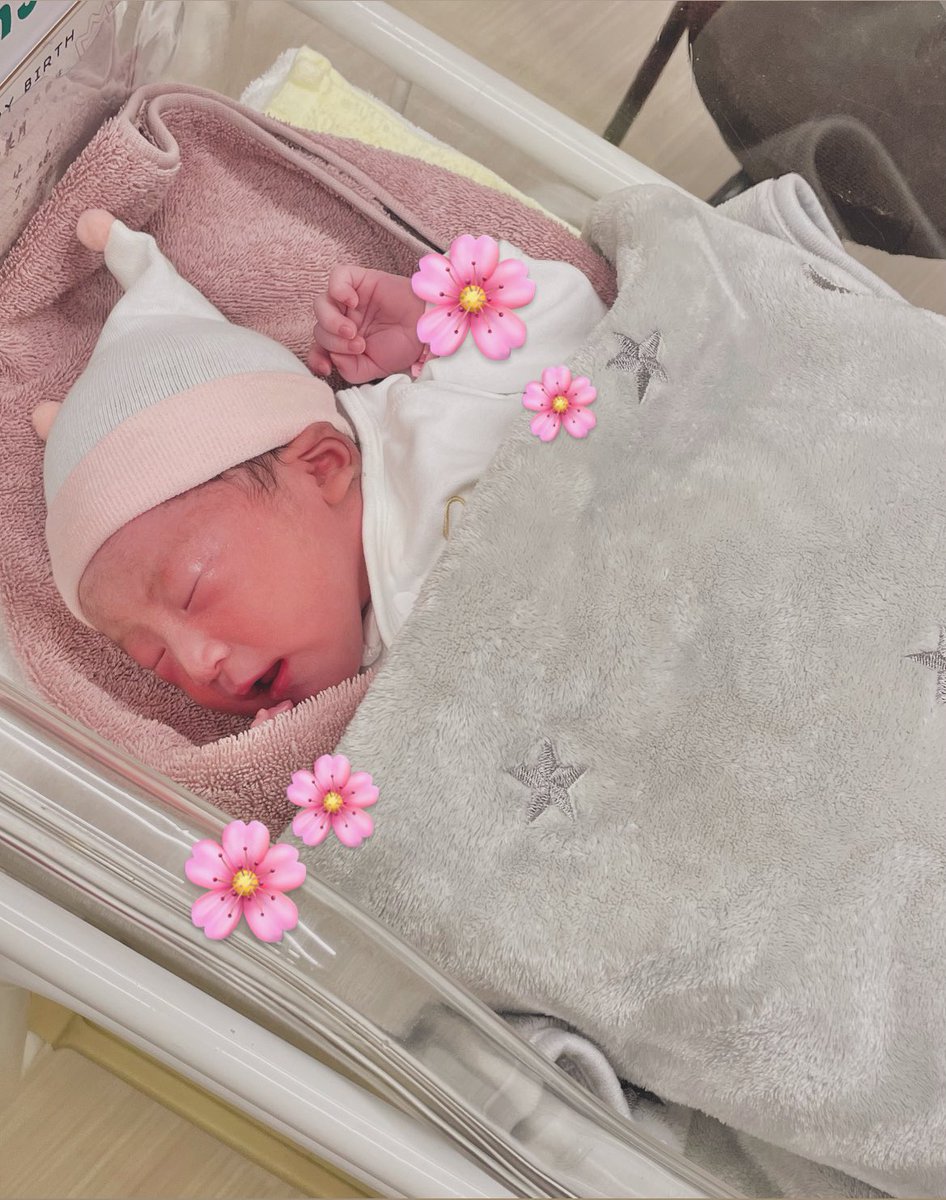 mii | webデザイナー | SNS発信講師 tweet media