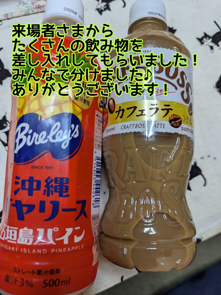 2Betsy0's tweet photo. 3.29ツキイチ！保護猫譲渡会
終了しました😊

ツキイチはふれあい型譲渡会です😊
次回は4.19！

#北海道釧路市
#ツキイチ保護猫譲渡会 https://t.co/0qIoBtG3XA