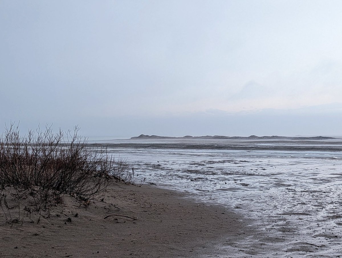 CornersParadise's tweet photo. Farewell to March 2026 #wasagabeach #nosunset #rainynight @jimsut10 https://t.co/elis9ZfS8K