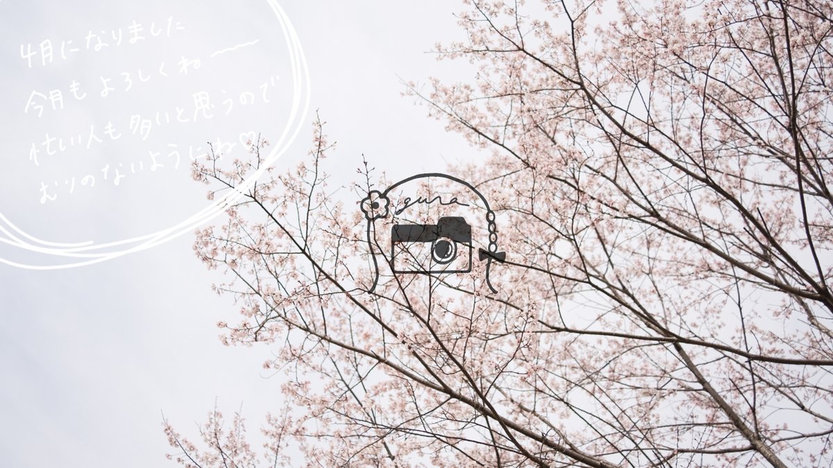 ＊𝚐𝚞𝚛𝚊＊ tweet media