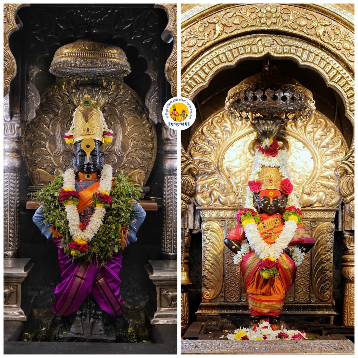 डिजिटल वारी tweet media