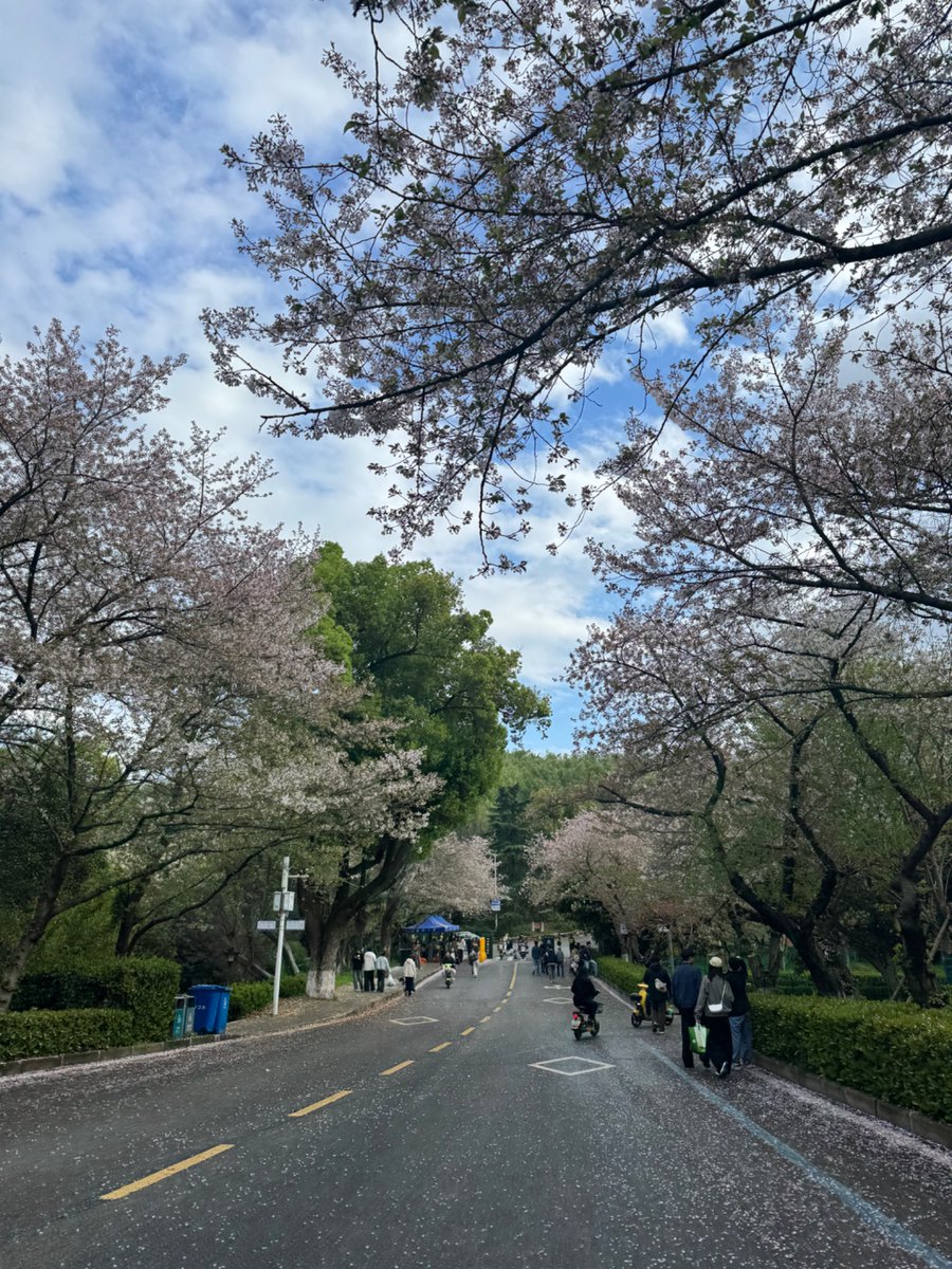 长期主义 tweet media