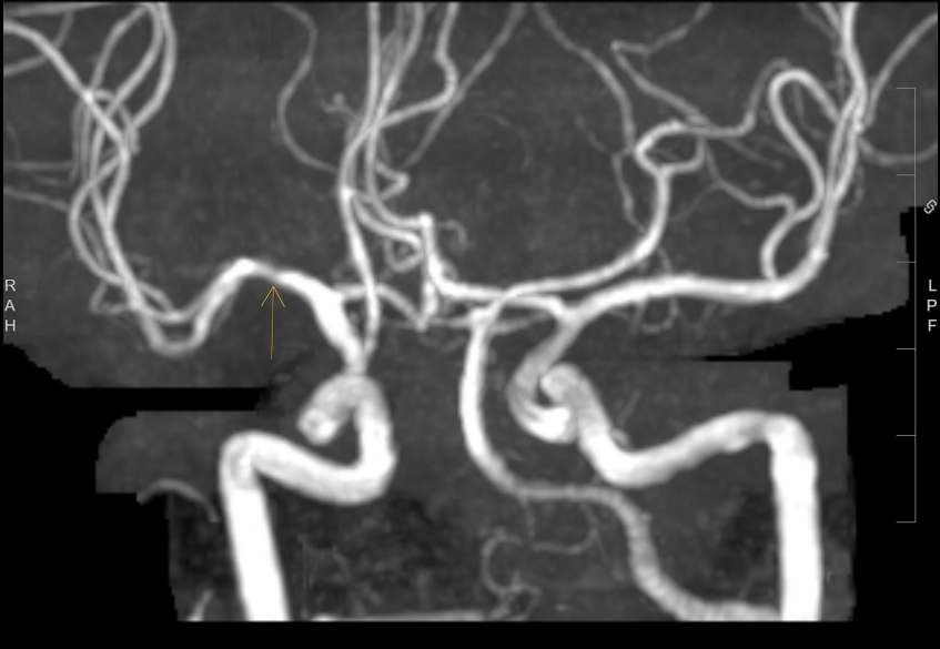 Dr. Brandon Beaber tweet media