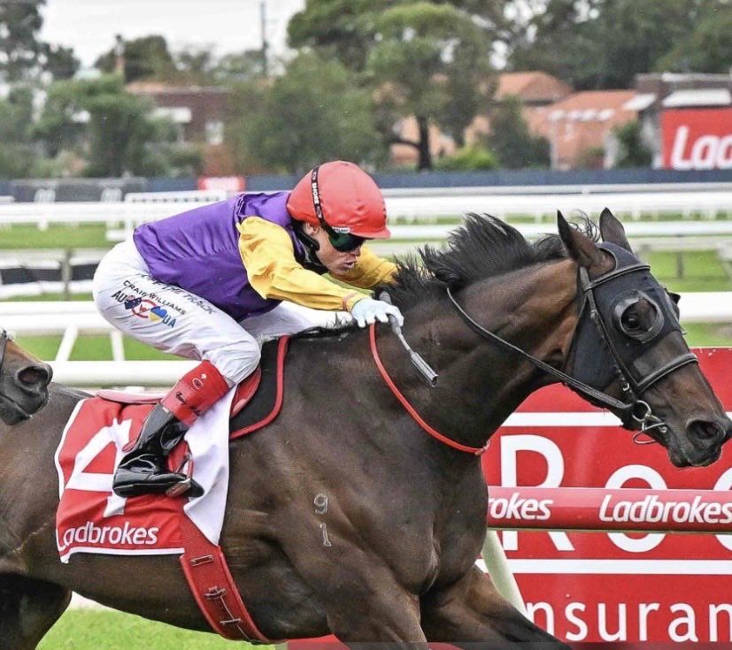 Craig Williams tweet media