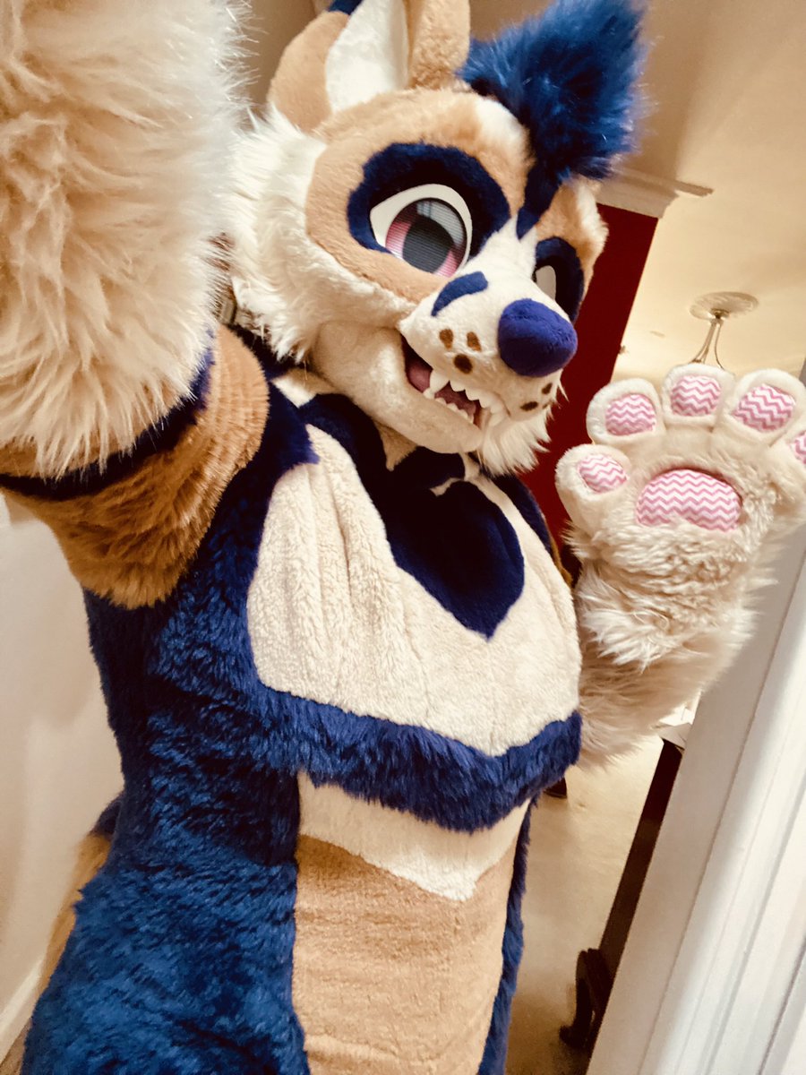 Riley 🇦🇺 tweet media