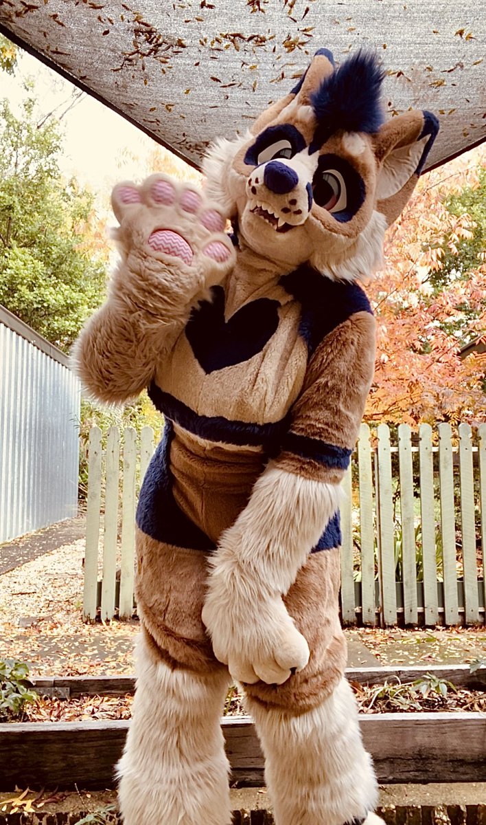 Riley 🇦🇺 tweet media