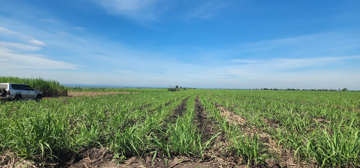 Khan of Khans™ tweet media