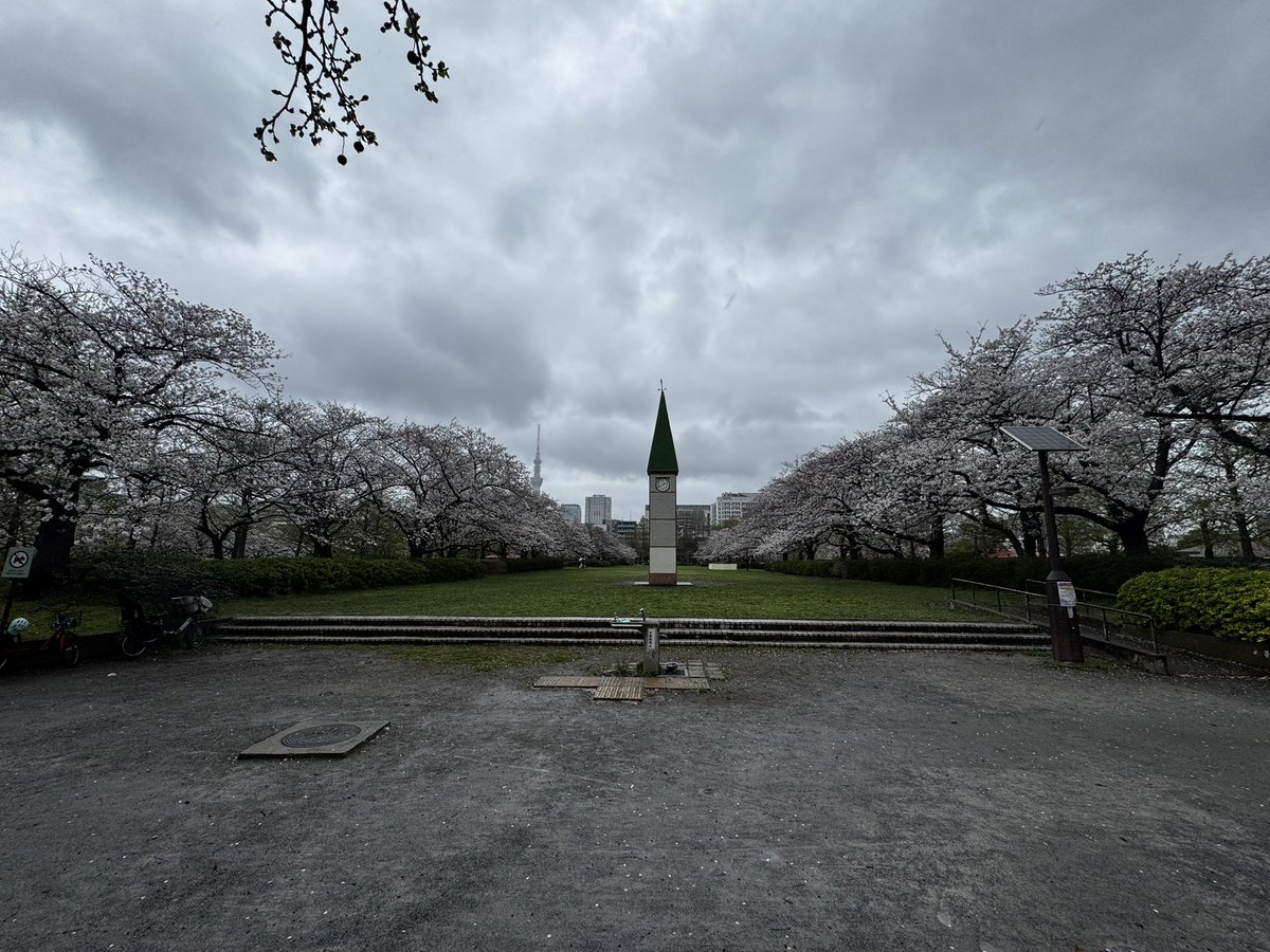 トミオ tweet media