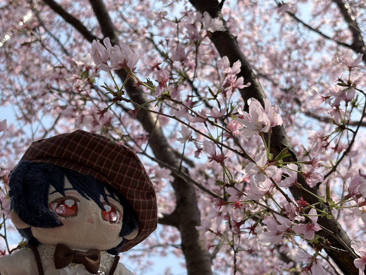 萊 那 𓈒𓏸︎︎︎︎ tweet media