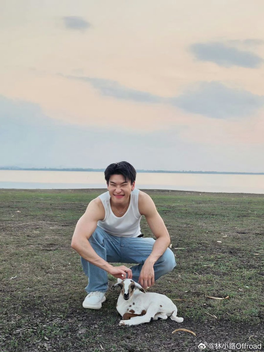 beyourNUBDAO⭐️ tweet media