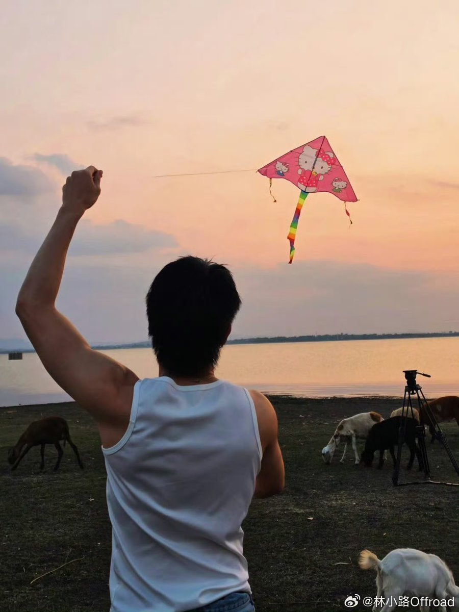 beyourNUBDAO⭐️ tweet media