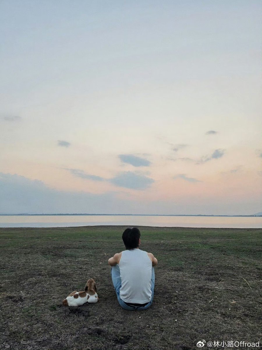 beyourNUBDAO⭐️ tweet media