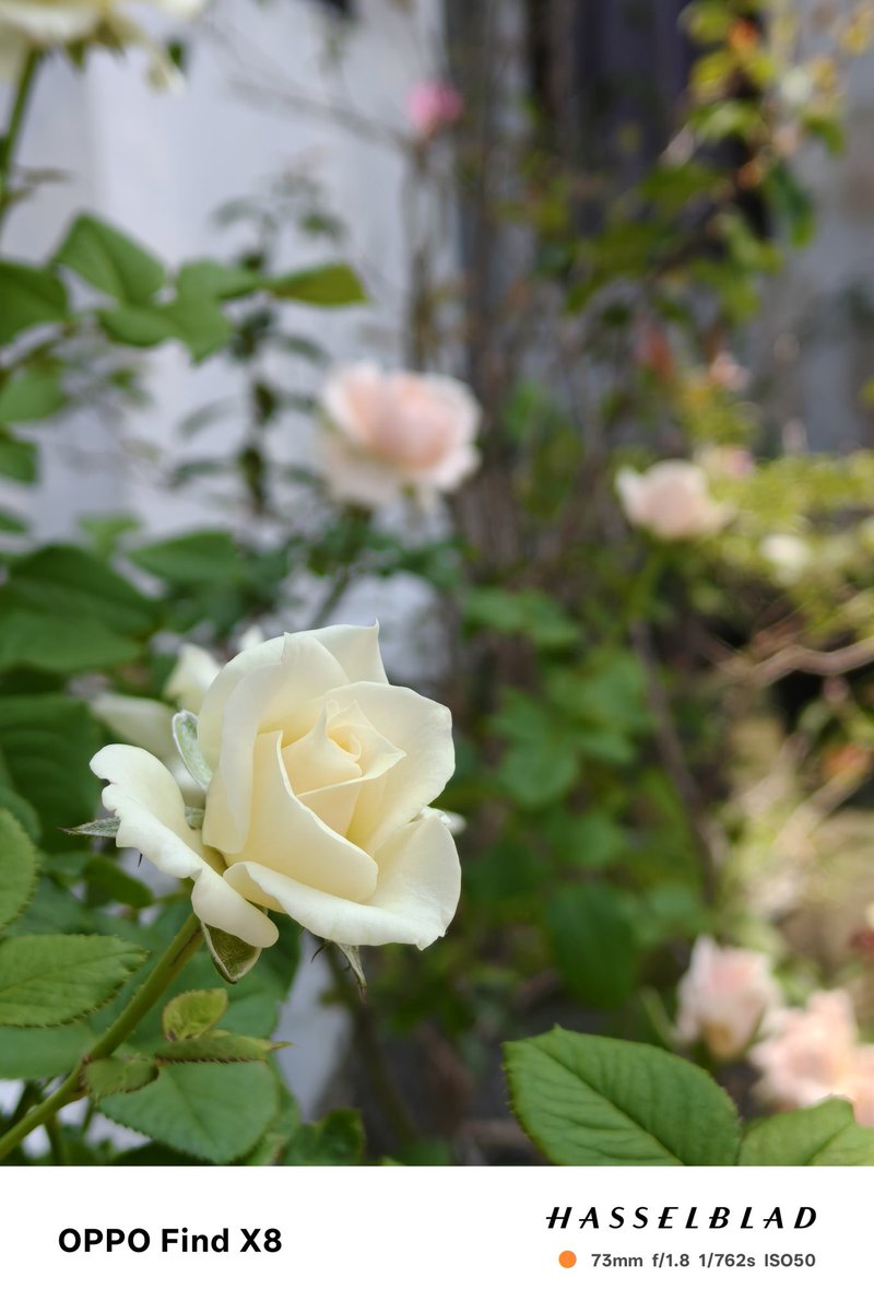 Biru 🥶 tweet media