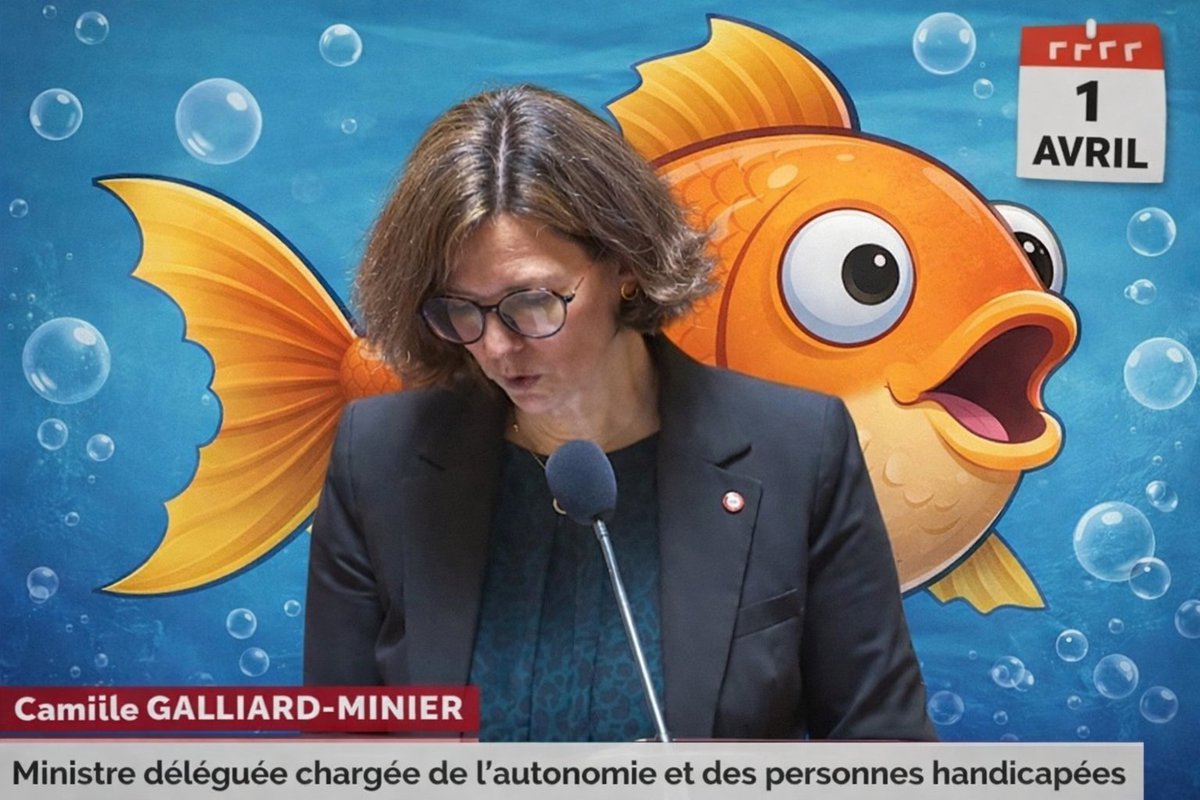 Bastien Dudzik 🇨🇵🇪🇺 tweet media