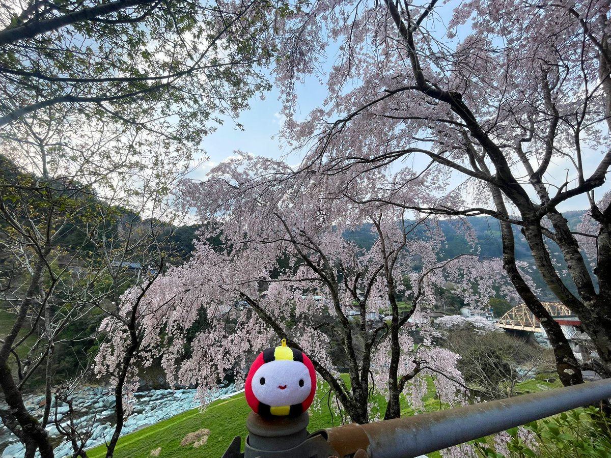 なるま tweet media