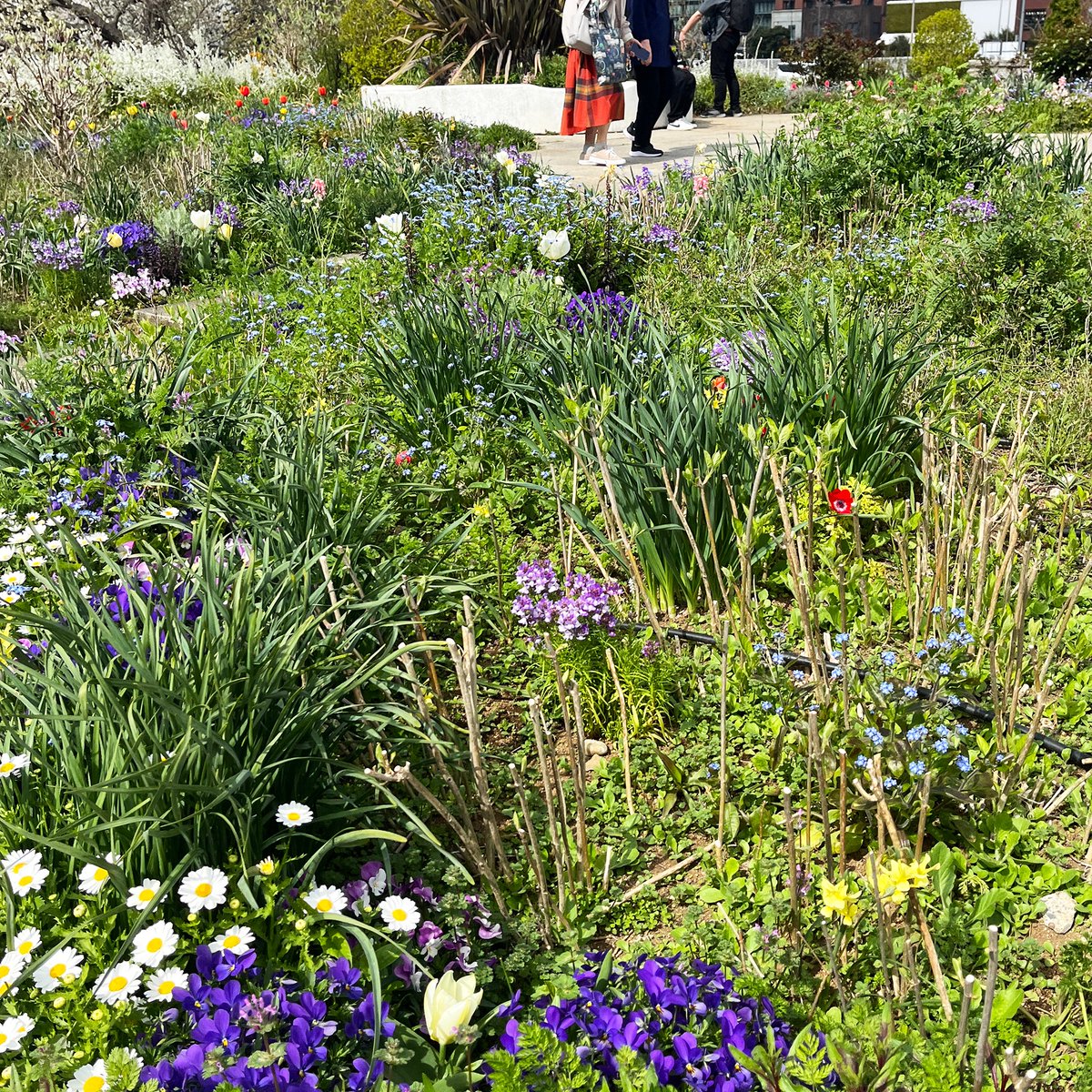 かしわらあきお tweet media