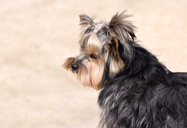 Robyn Martin tweet media