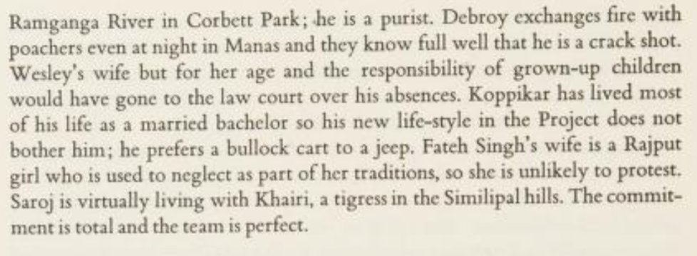 The Thinking Tiger tweet media