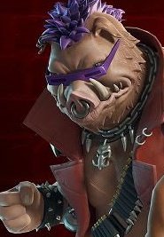 Mini 🐢 tweet media