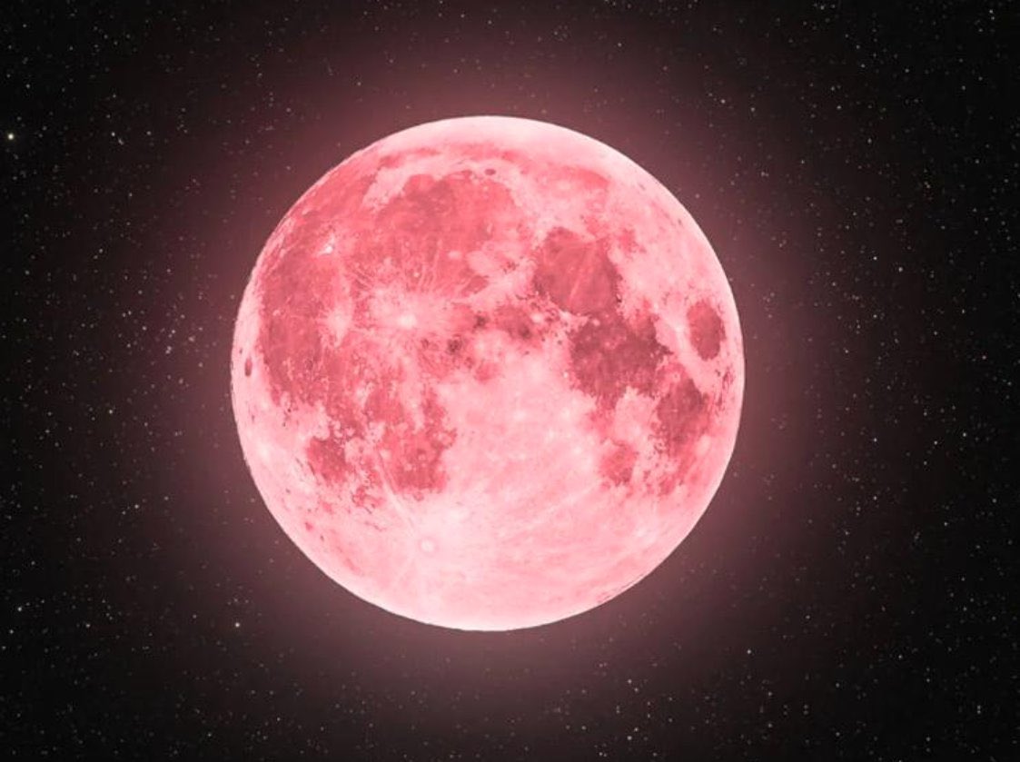 Legendary Apink tweet media