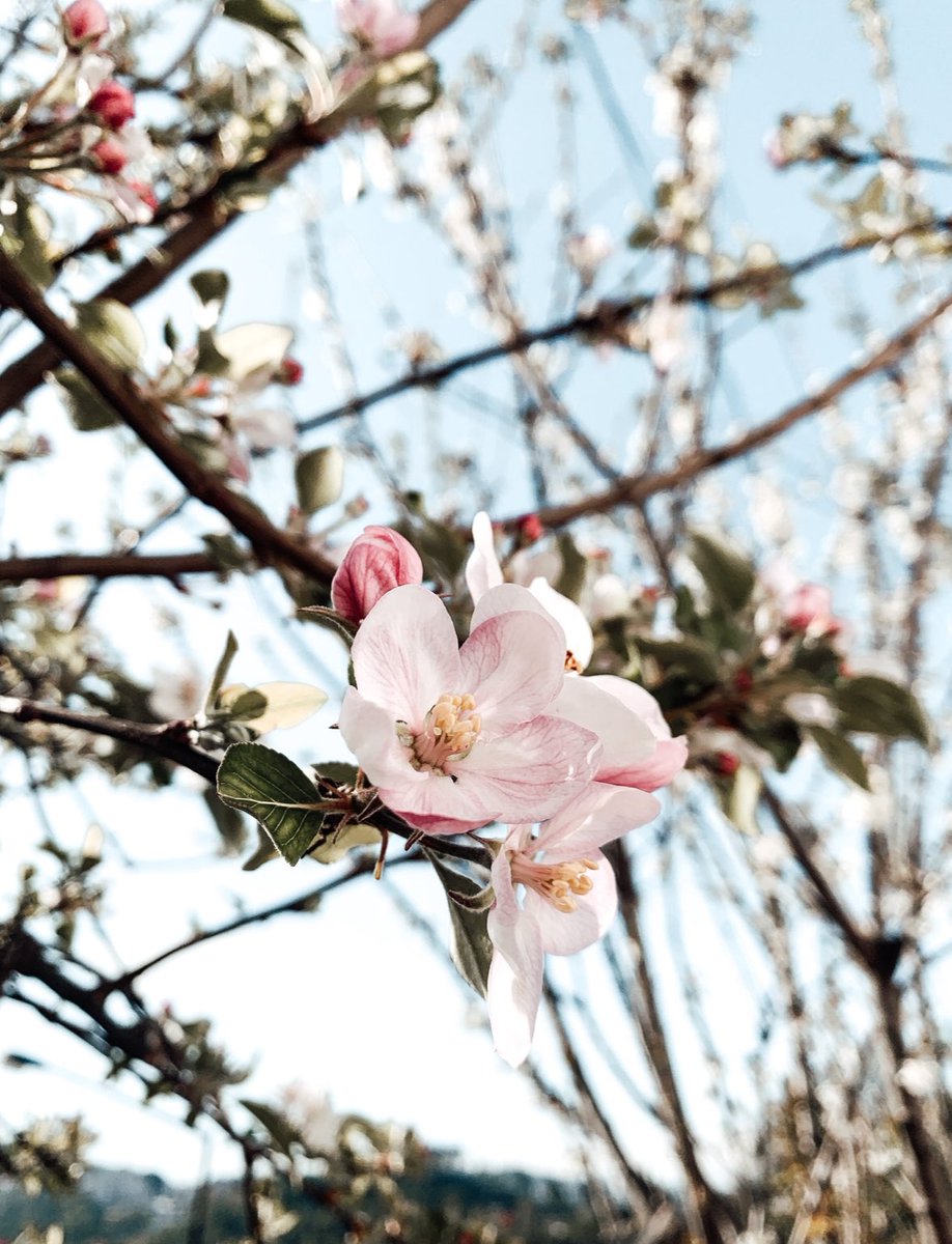 lovelykannz tweet media