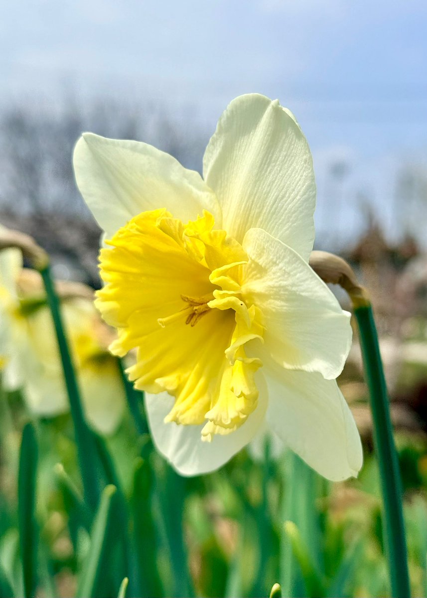 せいちゃん🍀✨ tweet media