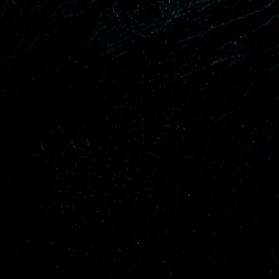 くんたま tweet media