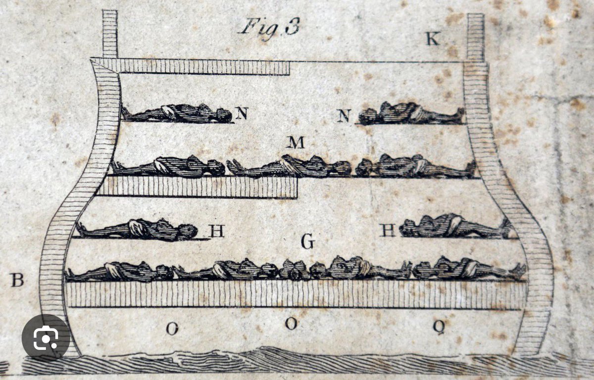 💯🇺🇸💯 tweet media