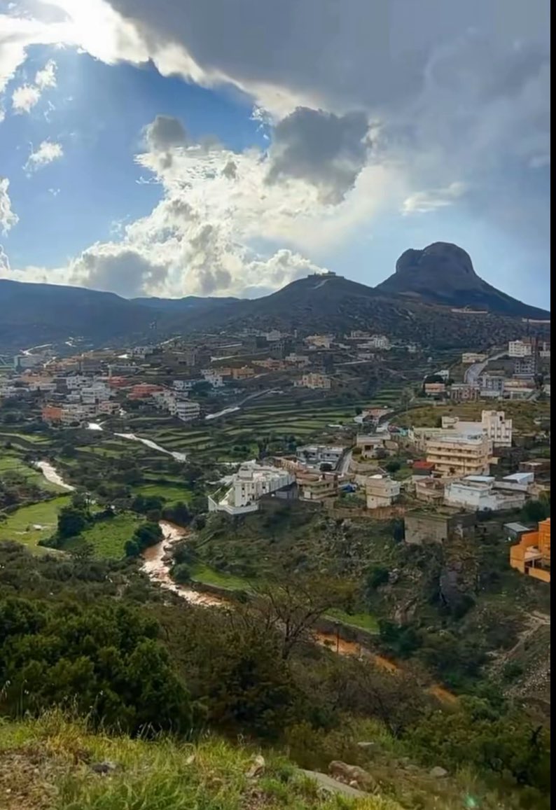 صالح بن سبره tweet media