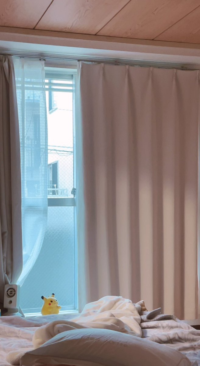 ぷぅ吉 tweet media