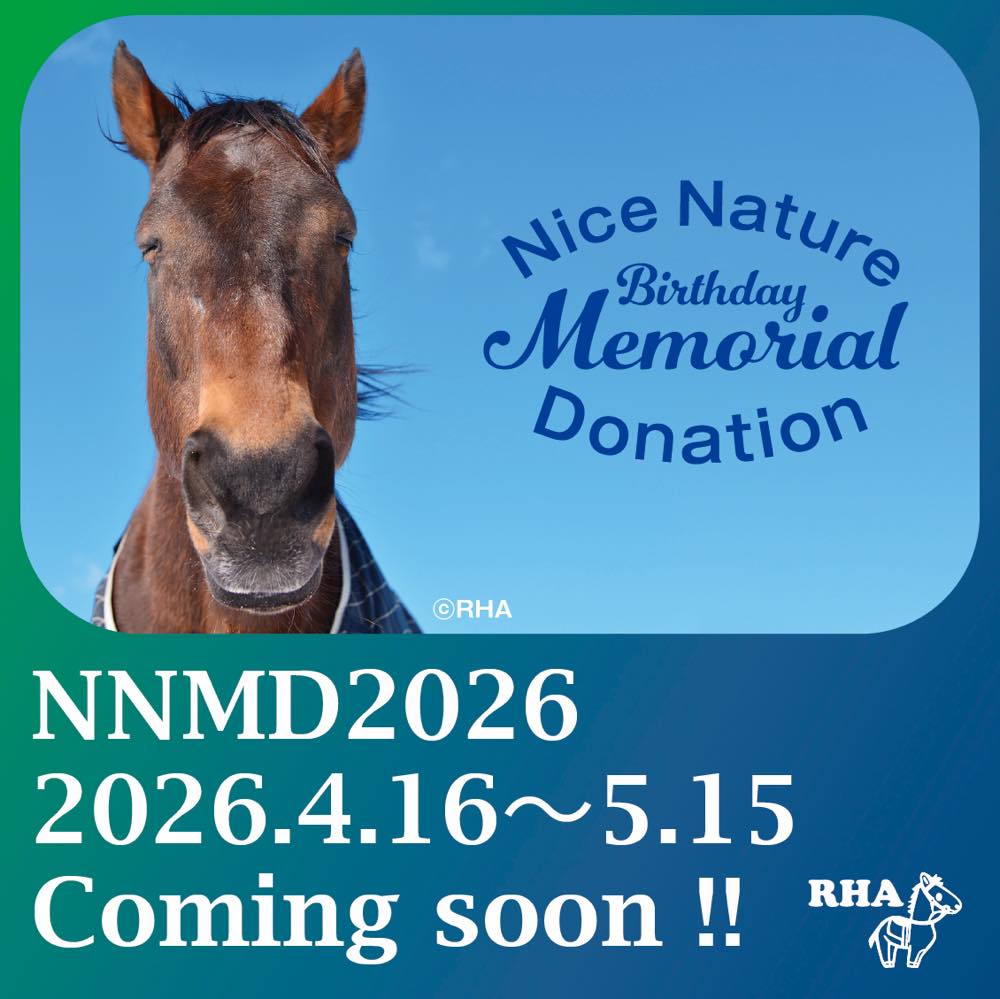 認定NPO法人引退馬協会／The Retired Horse Association tweet media