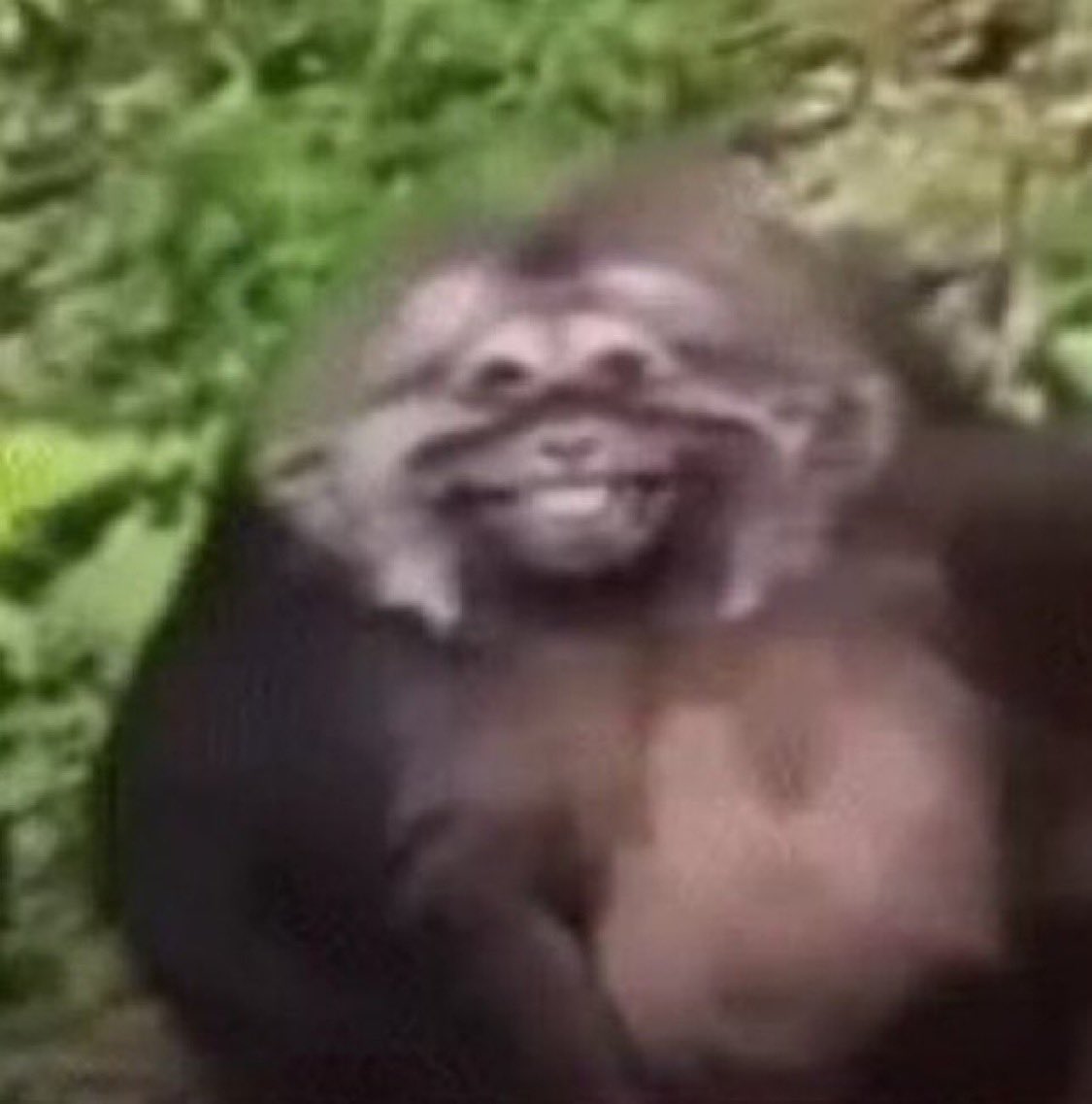 Duarte 🩹❤️‍🩹 tweet media