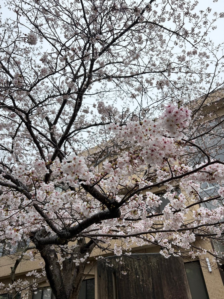 鳴門教育大学【公式】 tweet media