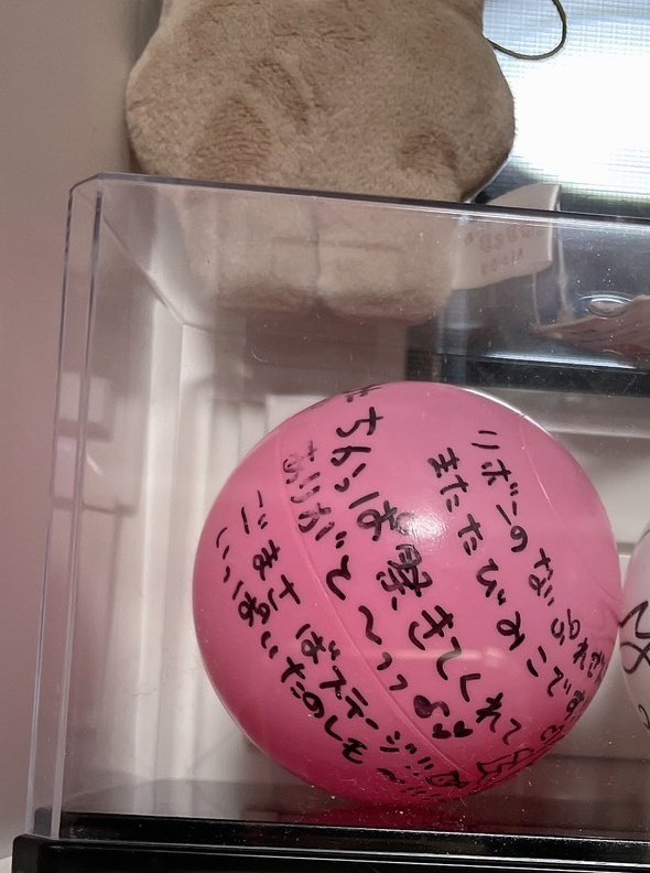 ui_ribon0212's tweet photo. 優しい方に譲って頂いたサインボールを携えてみこちの元へ〜〜〜🎀🎶

#にゃんだふるみこち https://t.co/ZCdZDhMkze