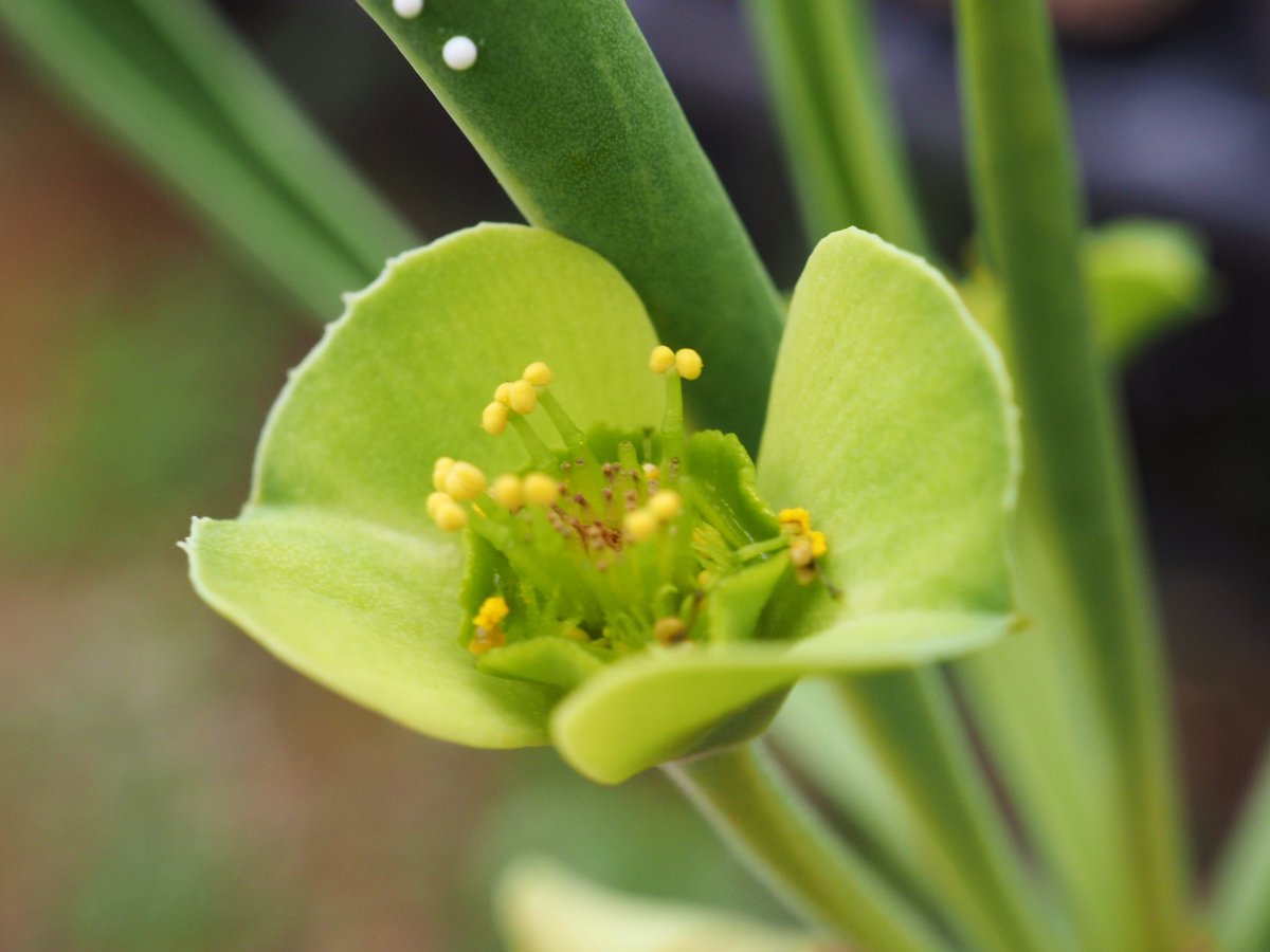 ぼびぃ tweet media